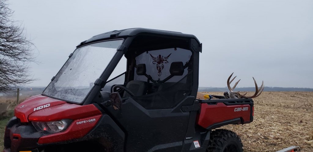 buggy.jpg