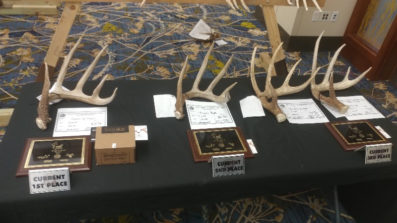 20190303_100107-800x450.jpg