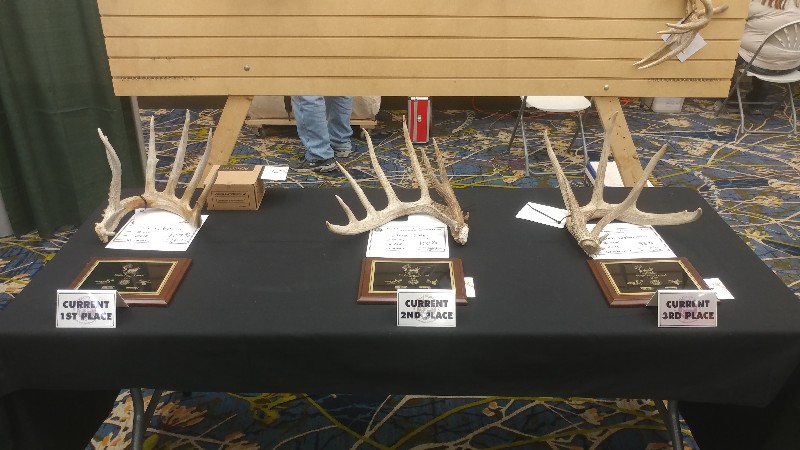 20190303_095841-800x450.jpg
