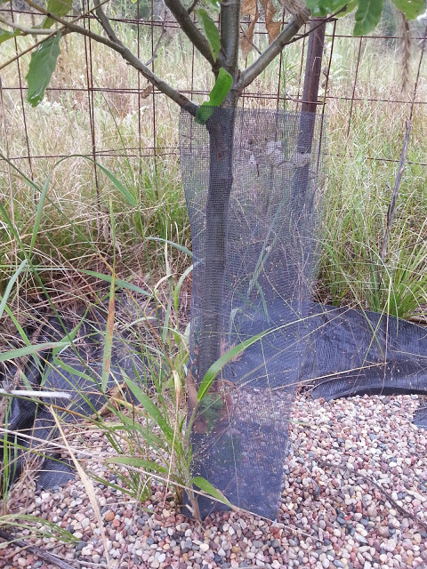 image20140830085334599.jpg