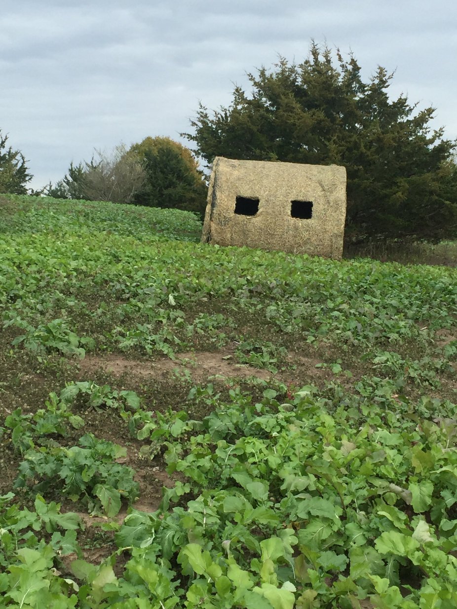 Blind Frame 4.jpg