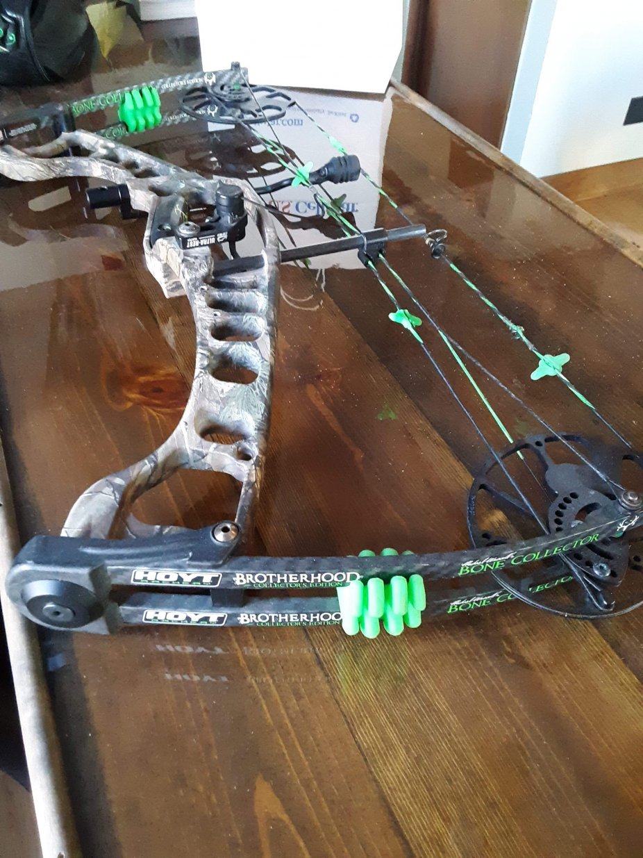 received_354661588495175.jpeg