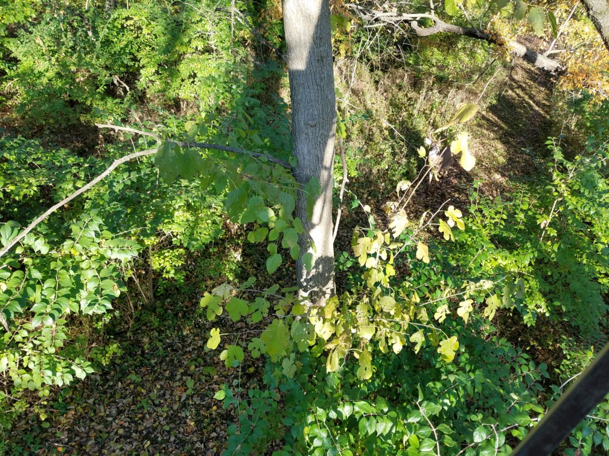 20191026_090125.jpg