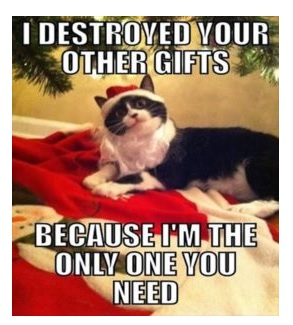 ChristmasCAT.jpg