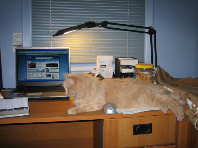 mushetta 003.jpg