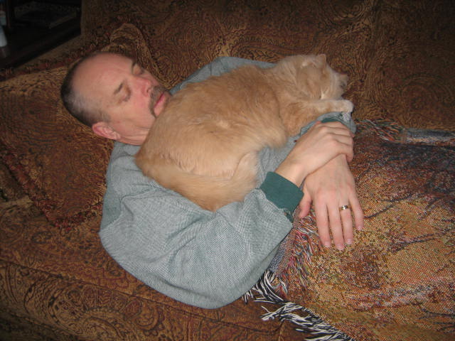 cat nap 006.jpg