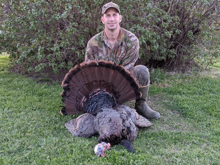 Paul Turkey 3 2020.jpg