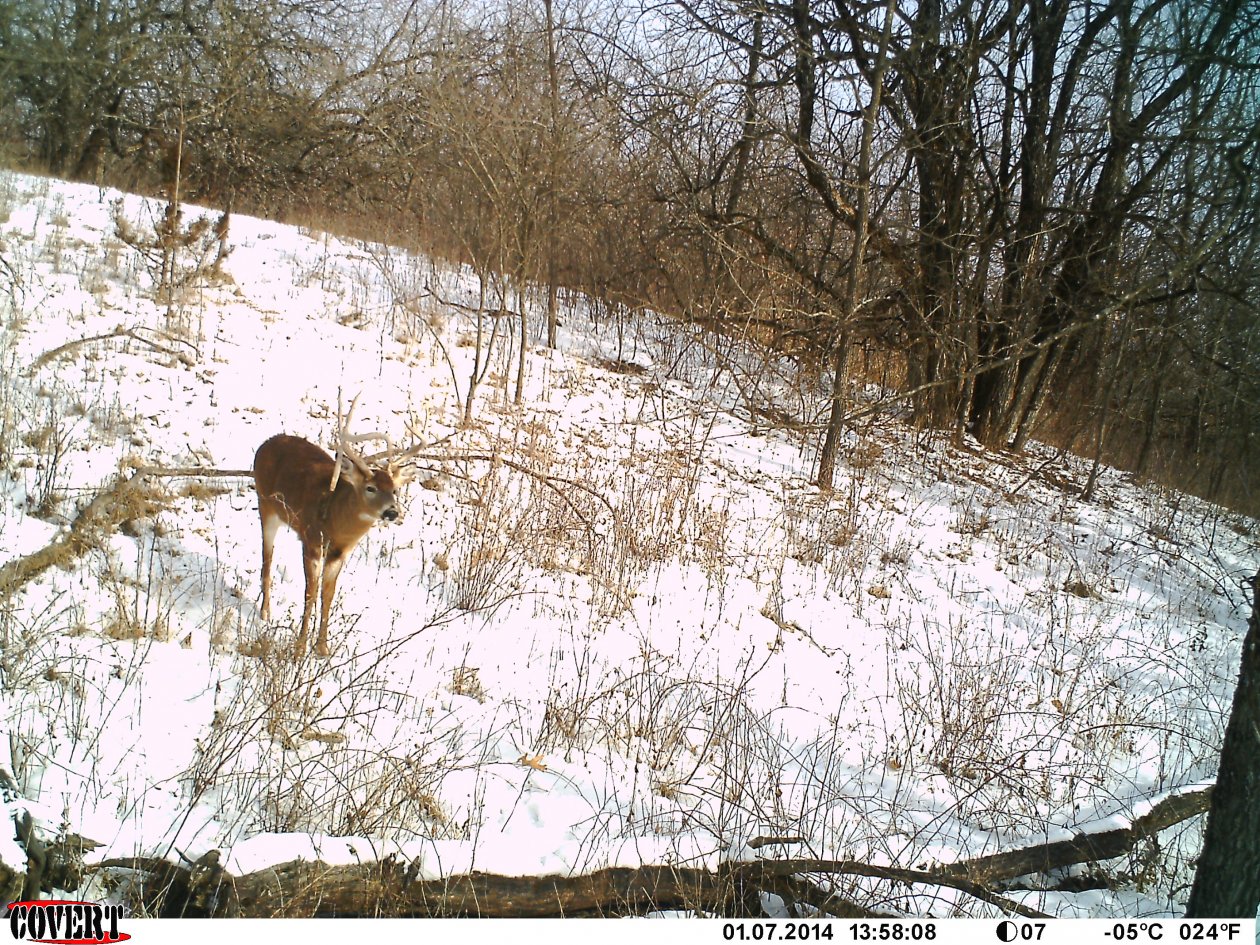 Iowa 2014 Dropper.jpg