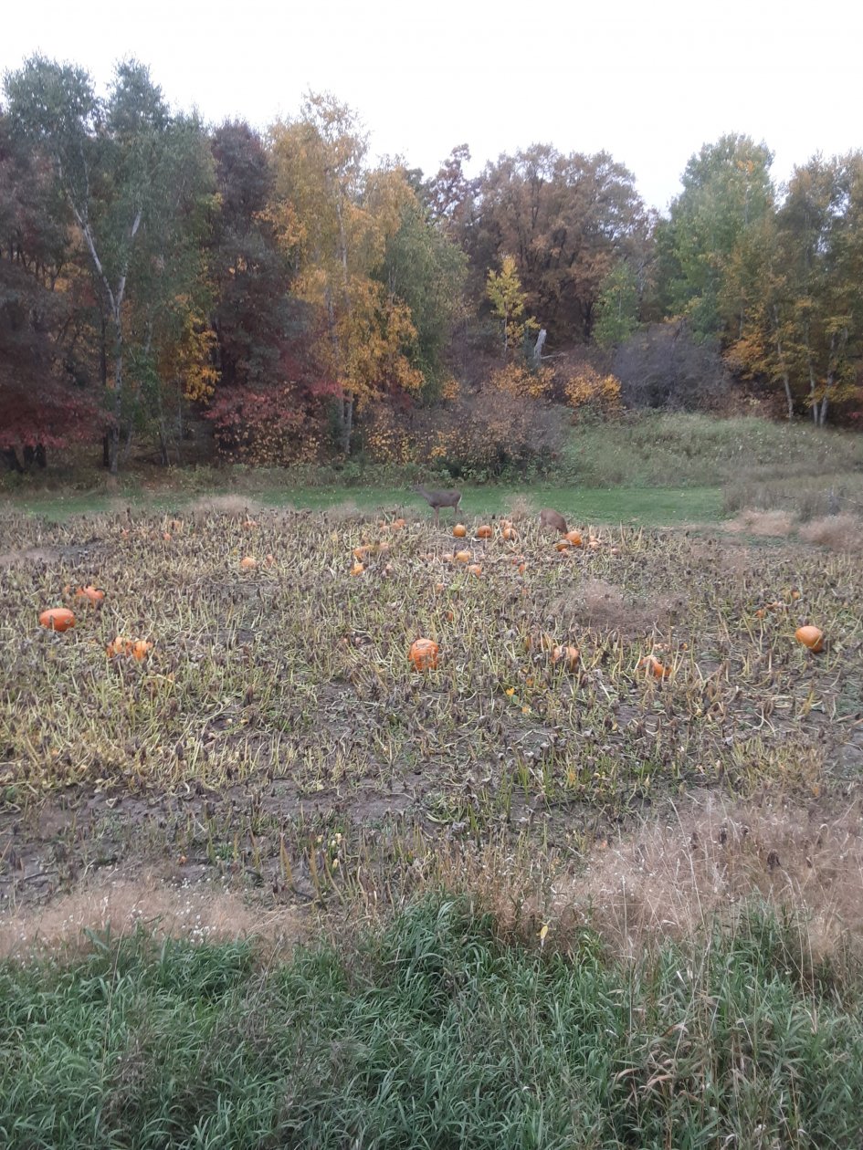 20200926_172840_001.jpg