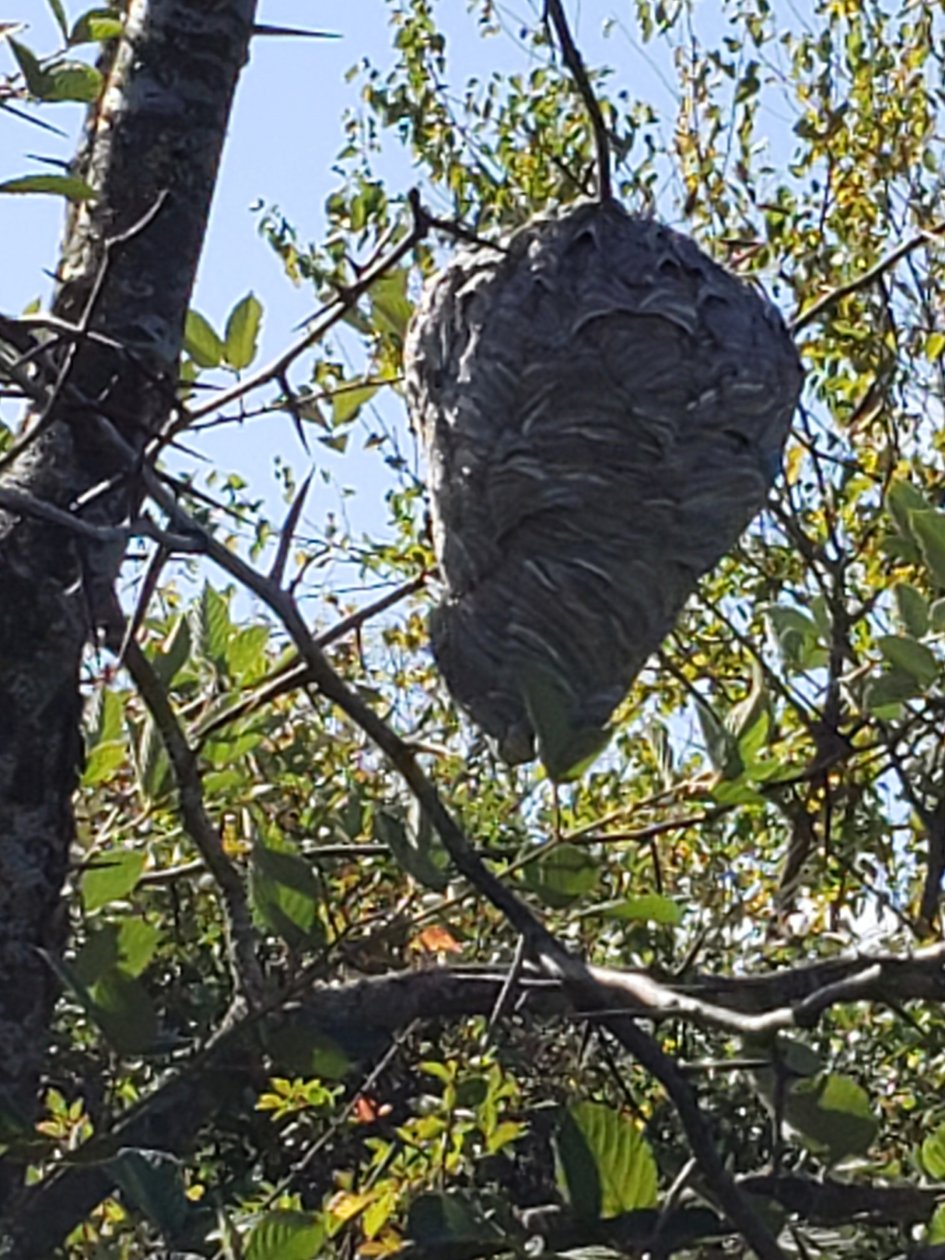 20201001_102130[1].jpg