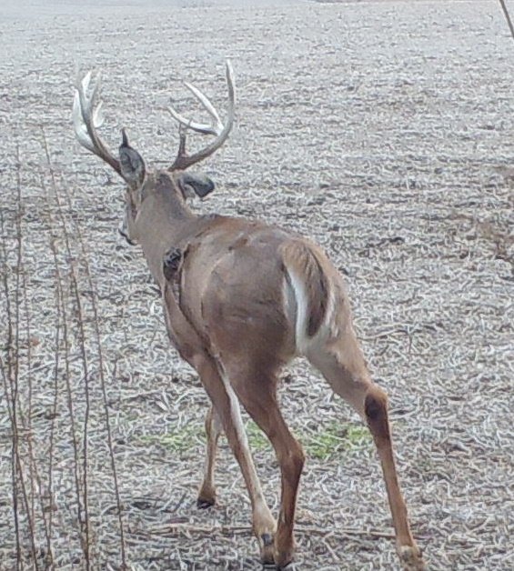 File4770.jpg