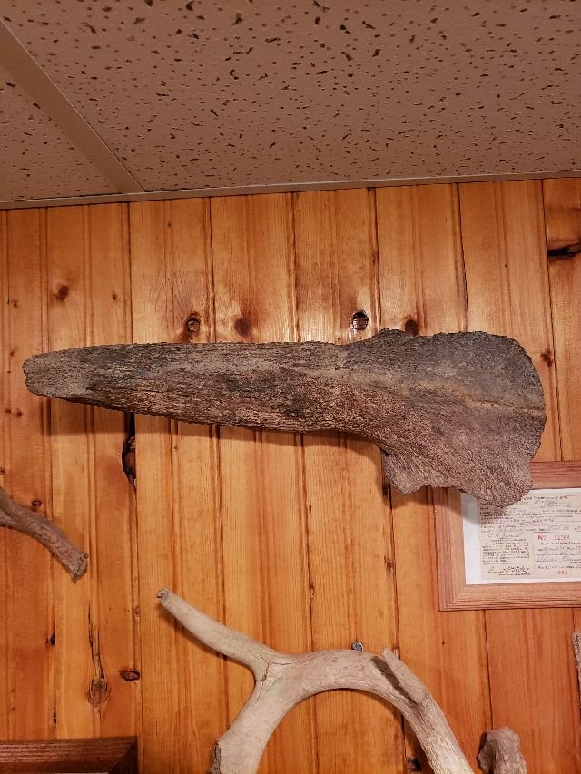 20201224_150910.jpg