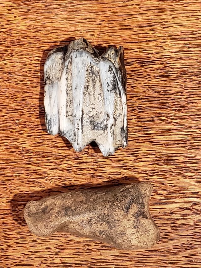 20201224_151032.jpg