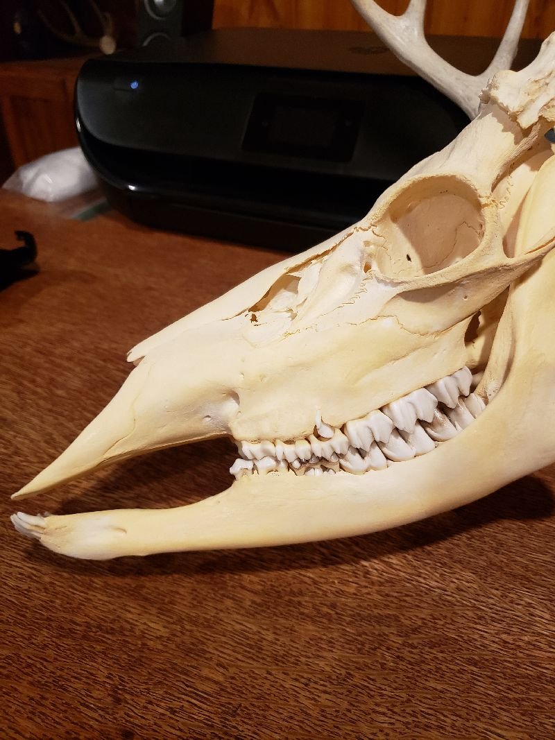 20201225_213740.jpg