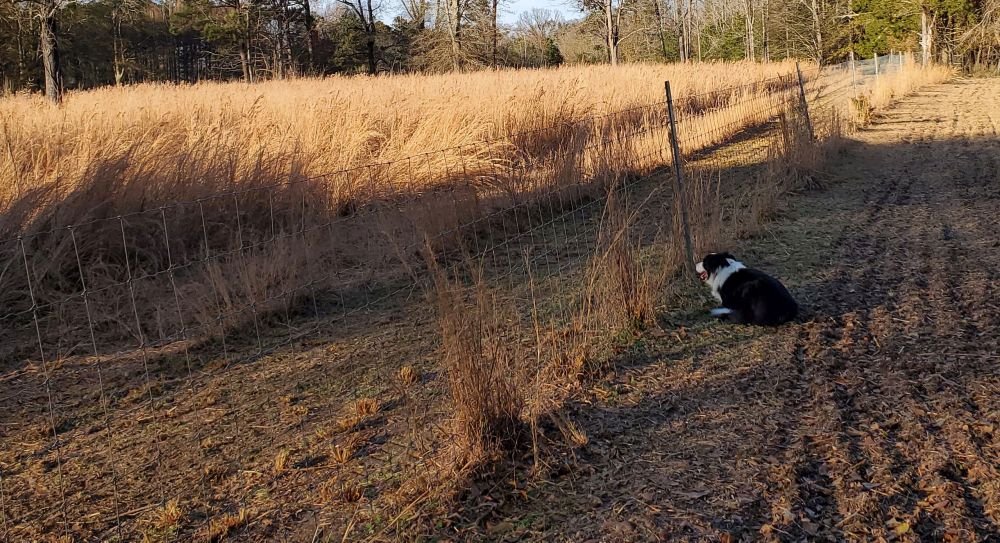 20201228_153245_crop_1000W.jpg