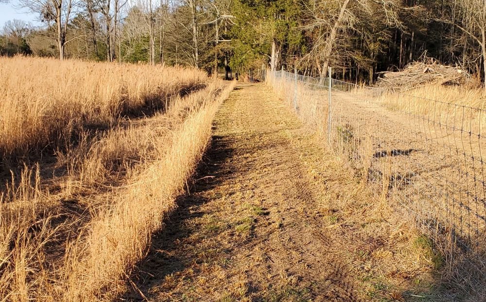 20201228_153728_crop_1000W.jpg