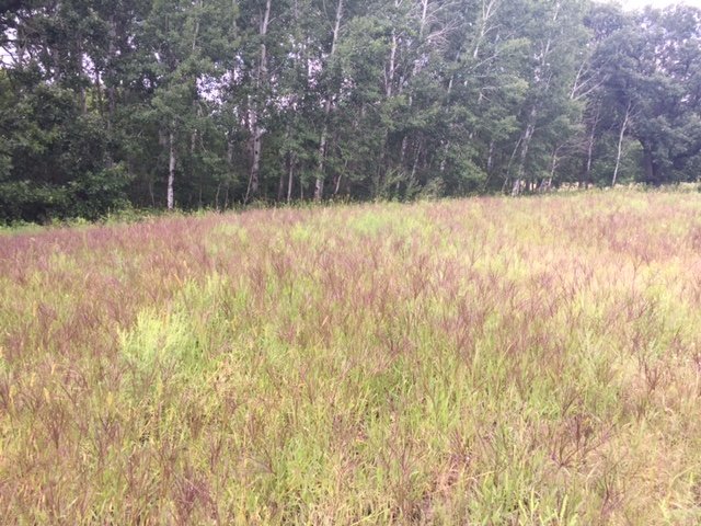 OTC CRP-1.jpg