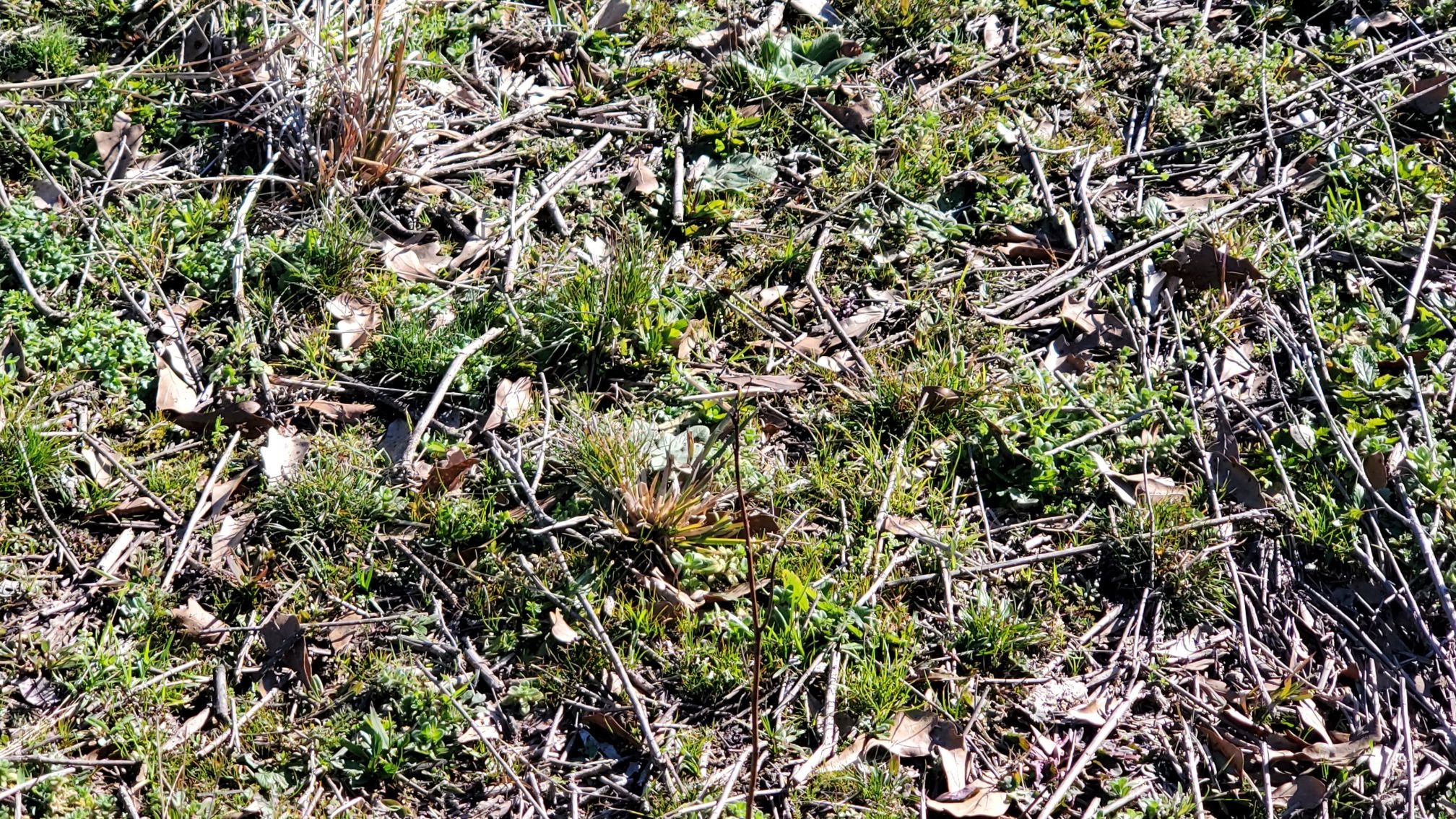 20210220_150412_HS.jpg