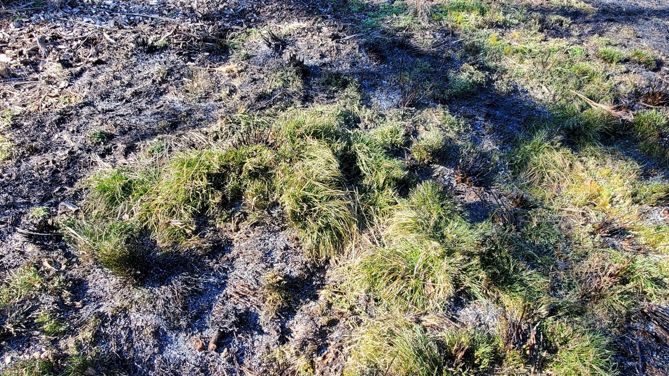 20210220_151632_HS.jpg