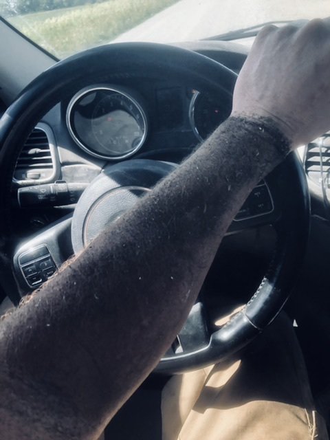 2916C0C3-3651-4E4D-944E-30E38CF7A06B.jpeg