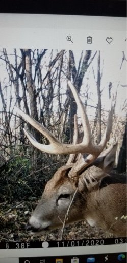 20201110_181510.JPG