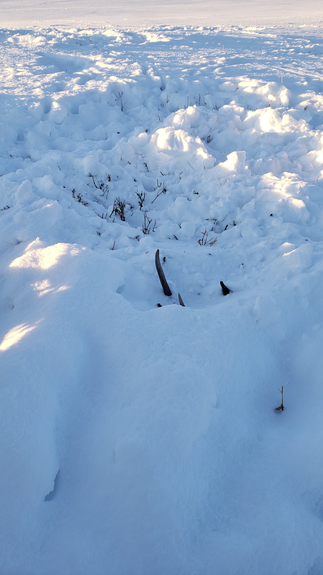 20220115_203129.jpg