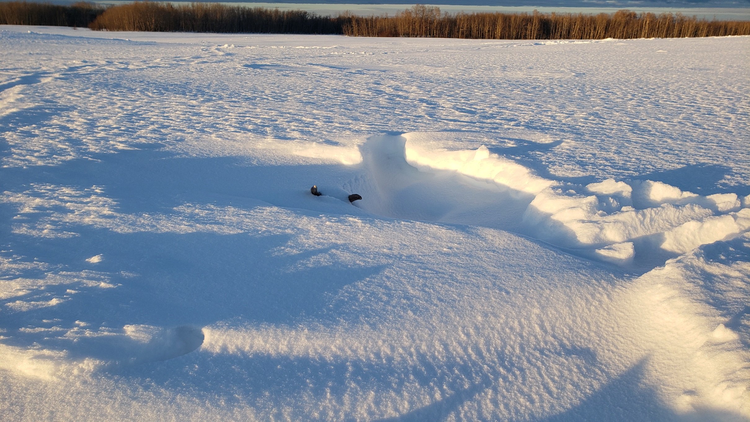20220115_203153.jpg