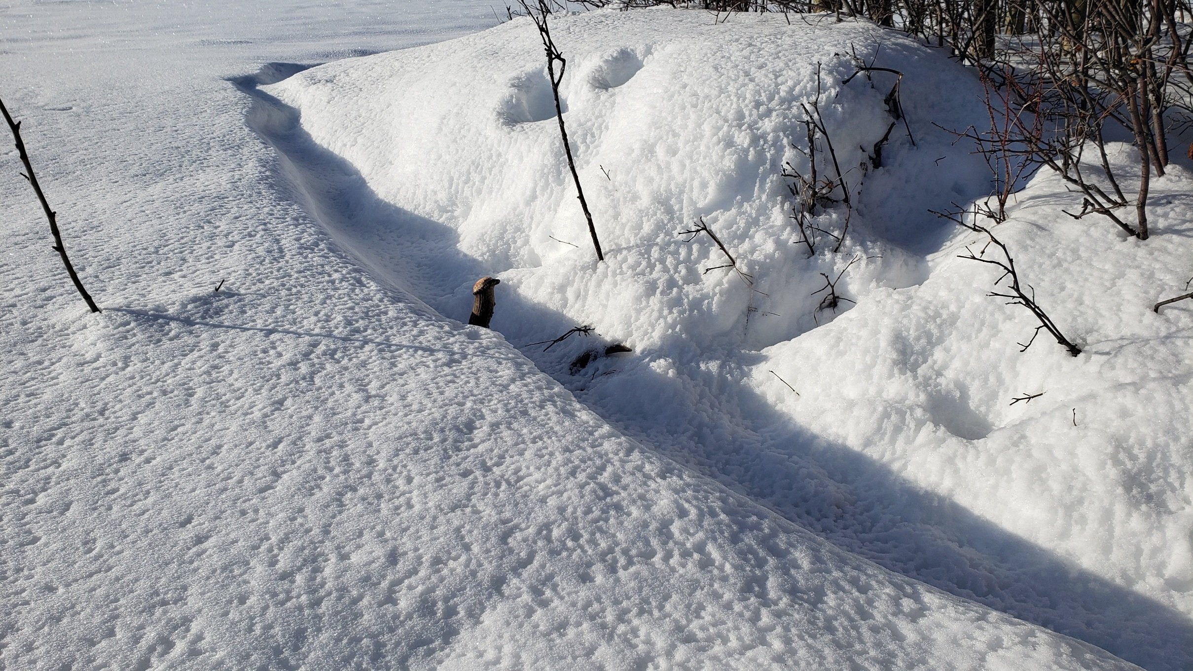 20220122_065850.jpg