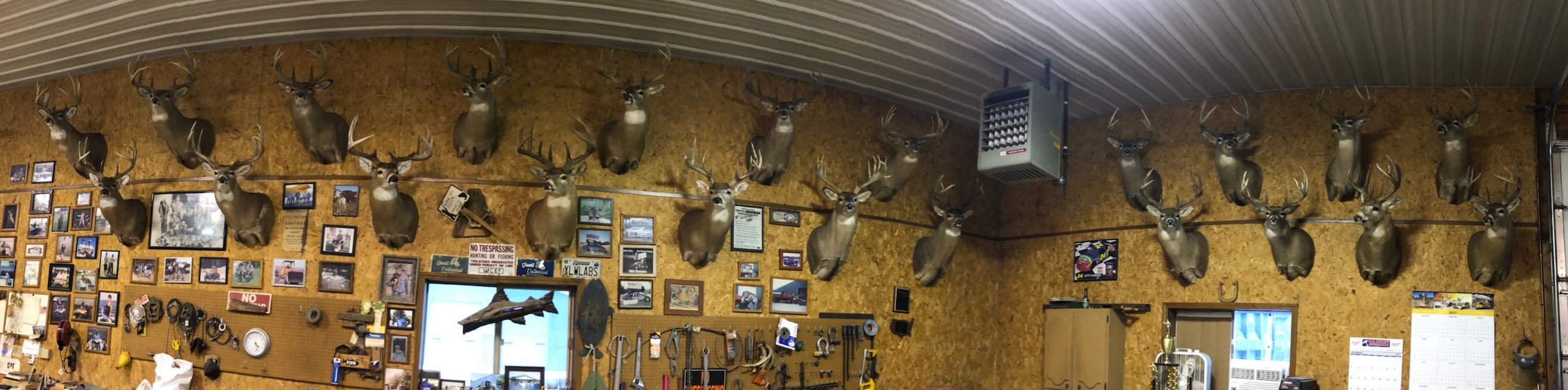 shop pic.jpg