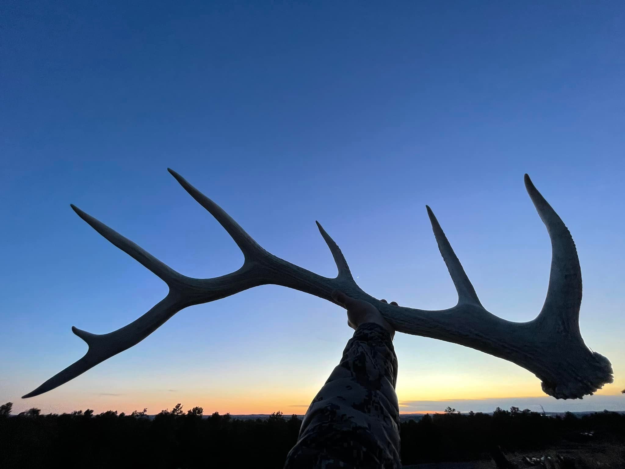 antler1.jpg