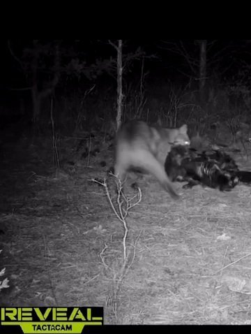 VideoCapture_20220512-190211.jpg