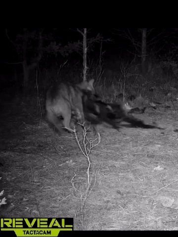 VideoCapture_20220512-190221.jpg
