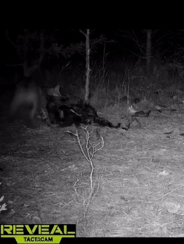 VideoCapture_20220512-190227.jpg