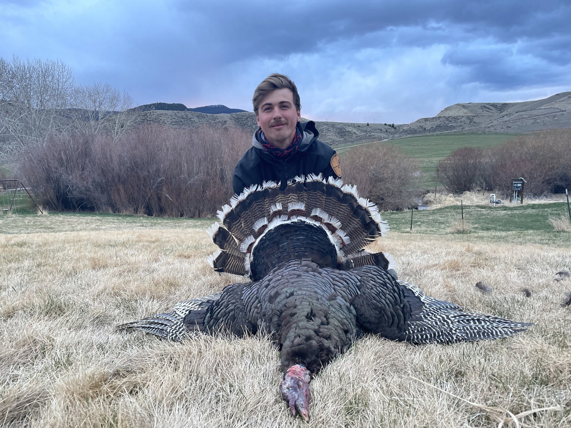 Montana7.jpg