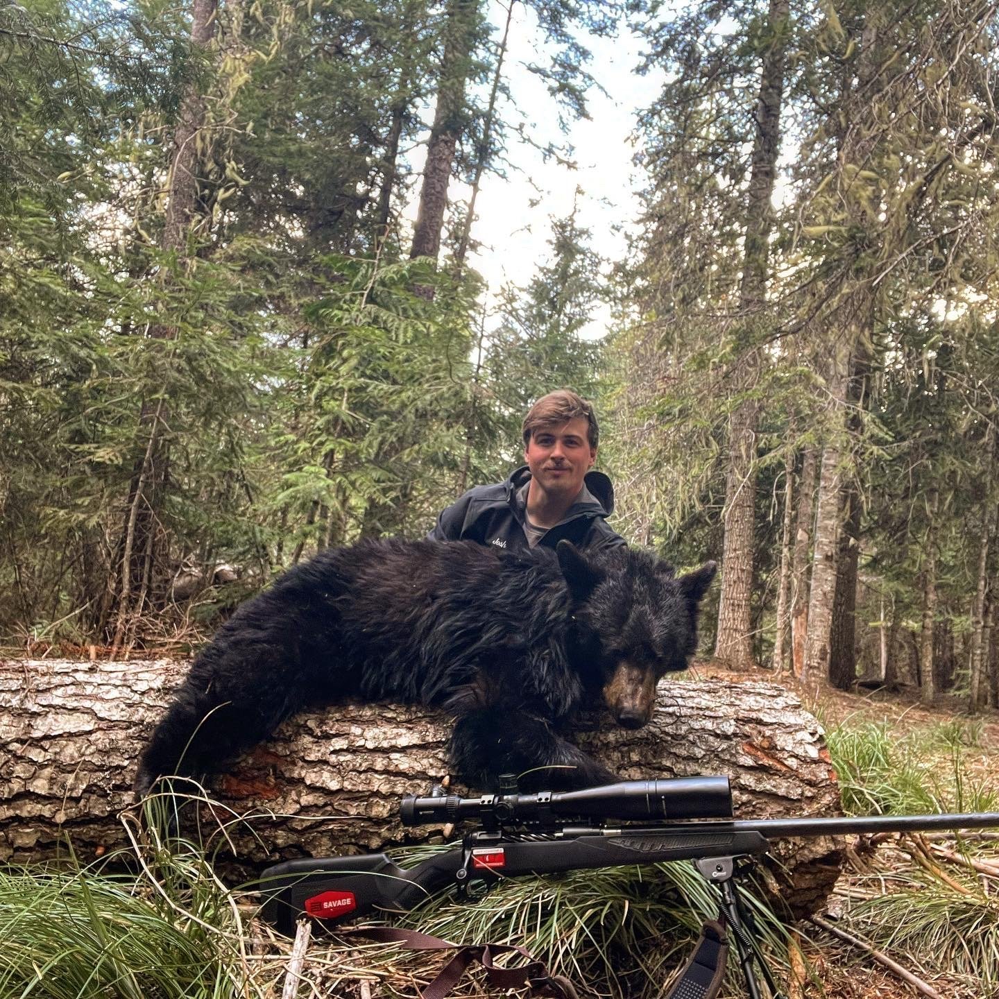 IDBEAR1.jpg