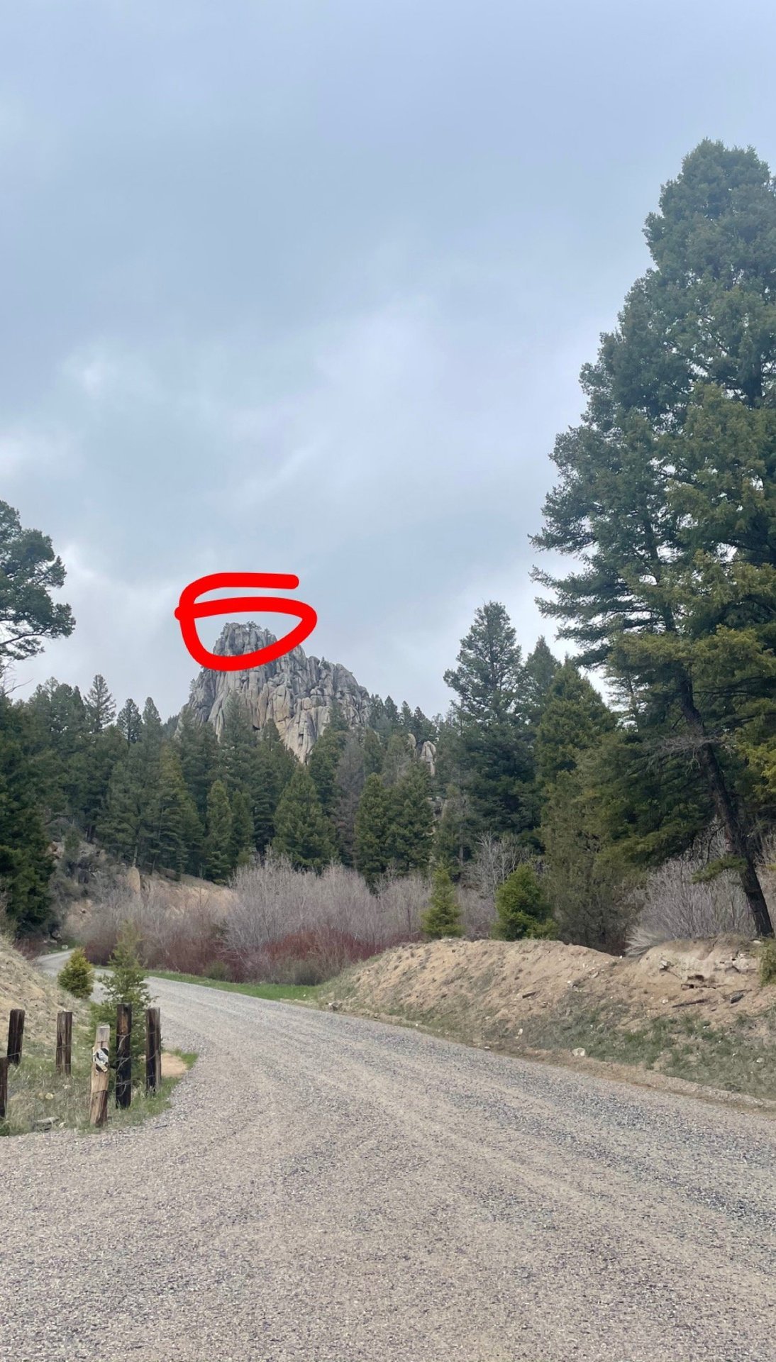 MONTANA13.jpg