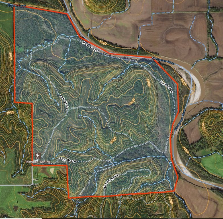 Topo View.jpg