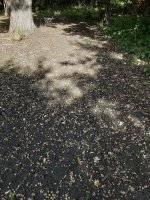 20220910_160831.jpg
