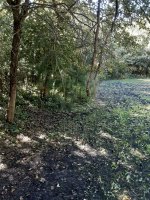 20220903_103108.jpg