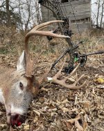 22 buck 4.jpg