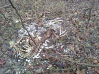 IMG_20210316_093657638.jpg
