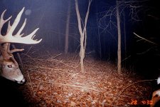 925-monsterbuck.jpg