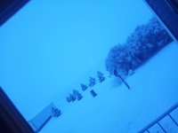 IMG_20220402_063653.jpg