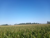 IMG_20220816_093258.jpg