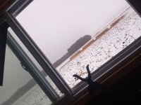 20221210_074522.jpg