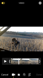010F0B44-6CC4-4CE7-A813-542DE371F7A6.png