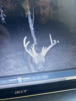 IMG_2868.jpeg