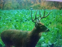 20201029_111507.jpg