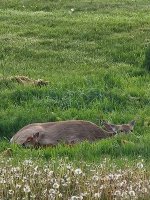 20230516_074559.jpg