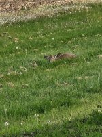 20230516_074345.jpg